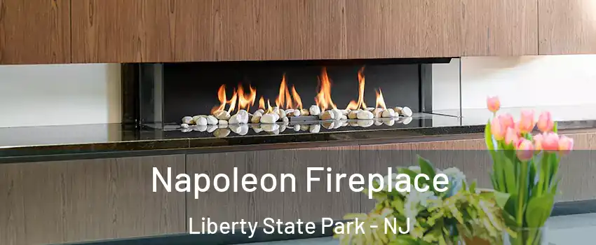 Napoleon Fireplace Liberty State Park - NJ