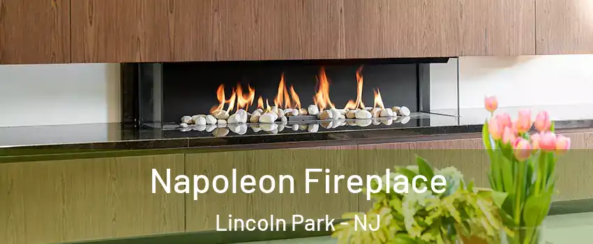 Napoleon Fireplace Lincoln Park - NJ
