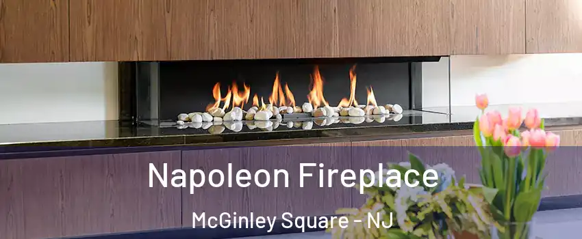 Napoleon Fireplace McGinley Square - NJ