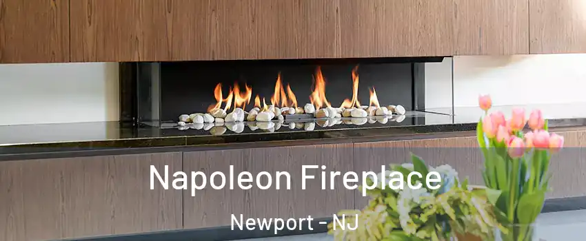Napoleon Fireplace Newport - NJ