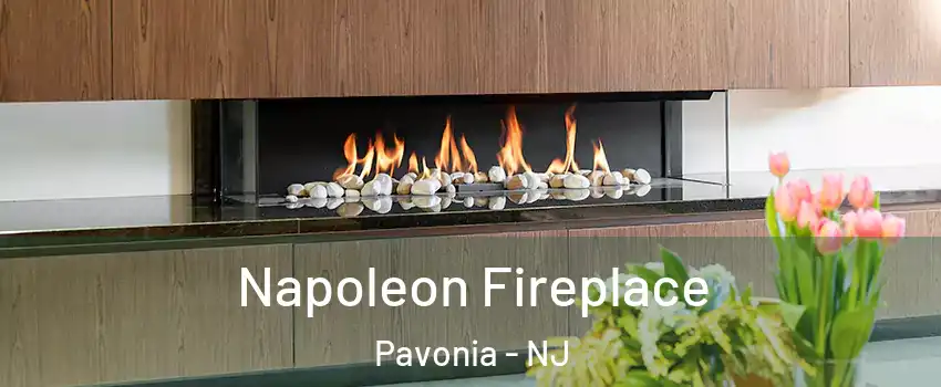 Napoleon Fireplace Pavonia - NJ