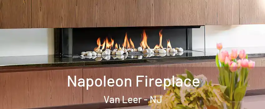 Napoleon Fireplace Van Leer - NJ
