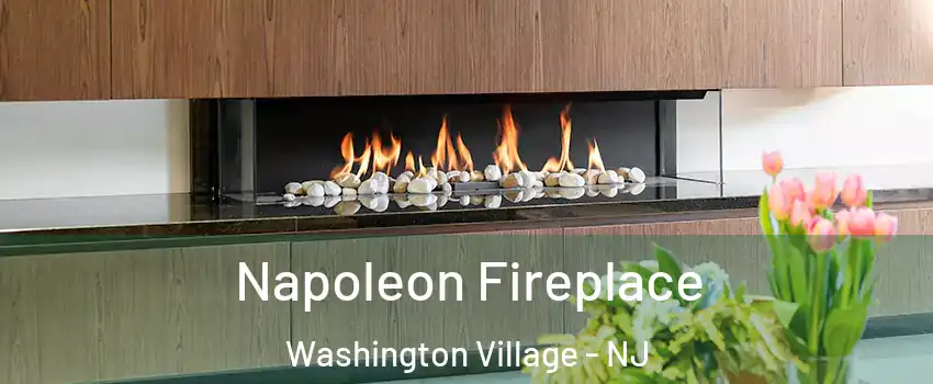 Napoleon Fireplace Washington Village - NJ