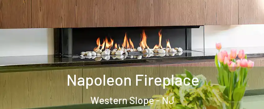 Napoleon Fireplace Western Slope - NJ