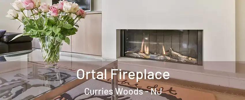 Ortal Fireplace Curries Woods - NJ