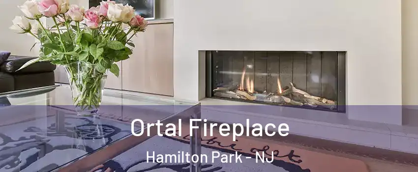 Ortal Fireplace Hamilton Park - NJ