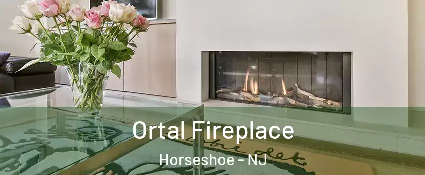 Ortal Fireplace Horseshoe - NJ