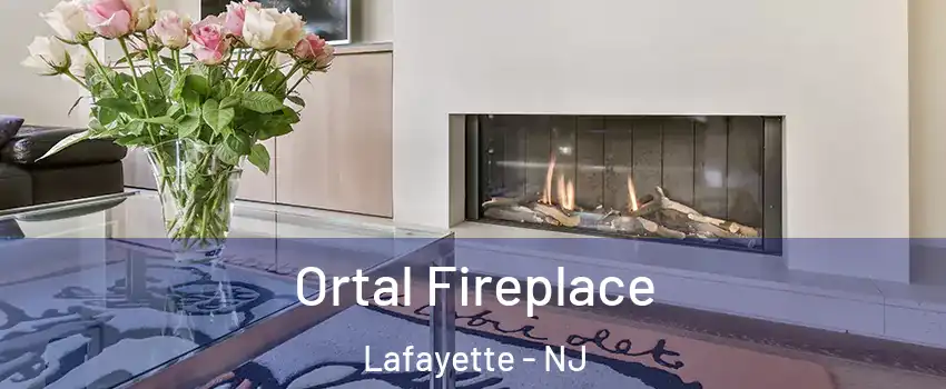 Ortal Fireplace Lafayette - NJ