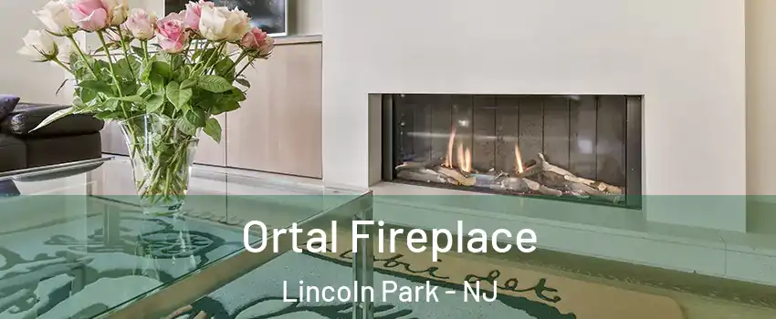 Ortal Fireplace Lincoln Park - NJ