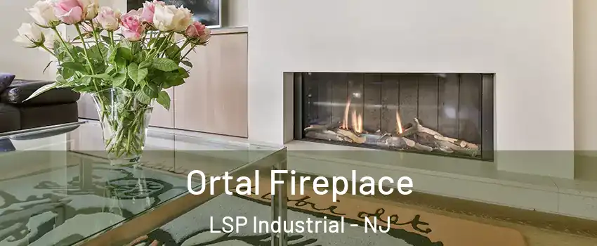 Ortal Fireplace LSP Industrial - NJ
