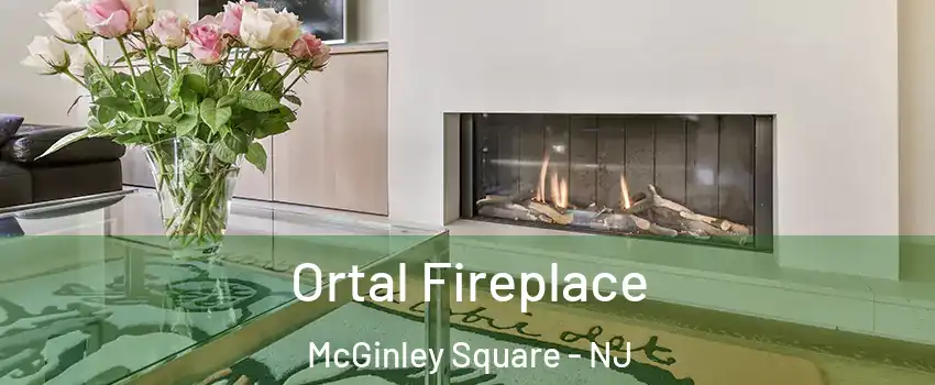 Ortal Fireplace McGinley Square - NJ