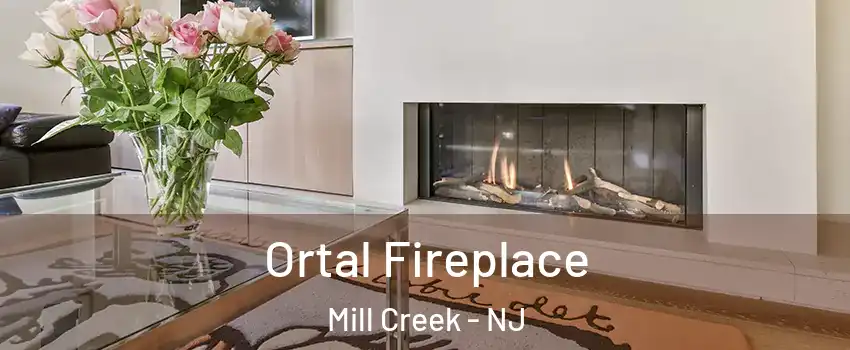 Ortal Fireplace Mill Creek - NJ