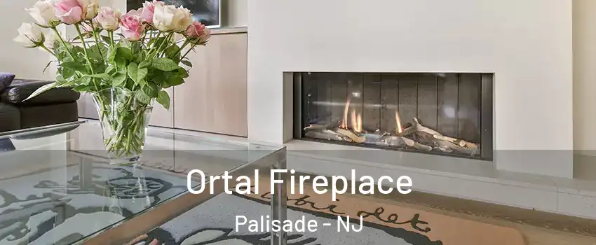 Ortal Fireplace Palisade - NJ
