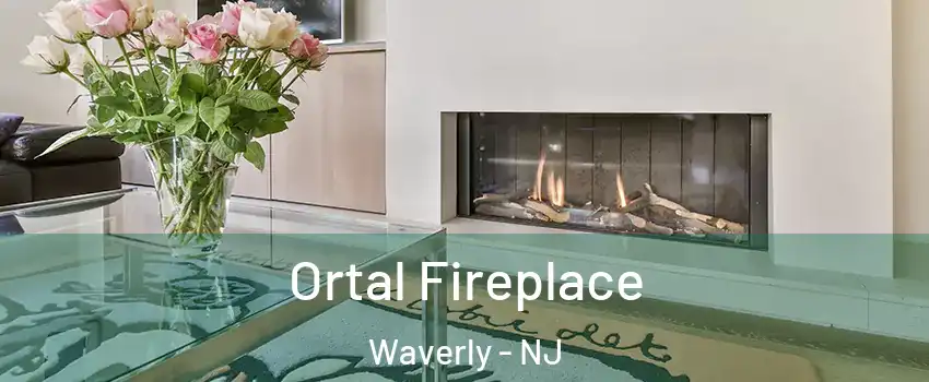 Ortal Fireplace Waverly - NJ