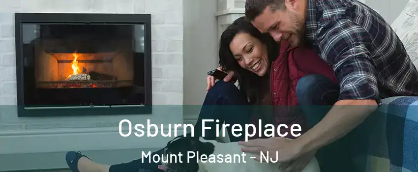 Osburn Fireplace Mount Pleasant - NJ
