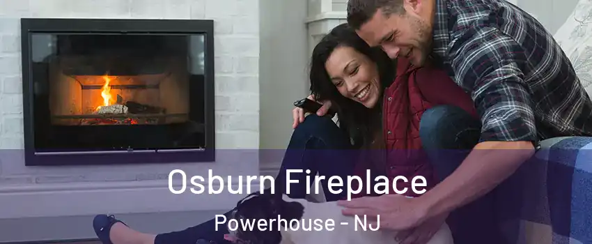 Osburn Fireplace Powerhouse - NJ
