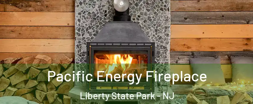 Pacific Energy Fireplace Liberty State Park - NJ