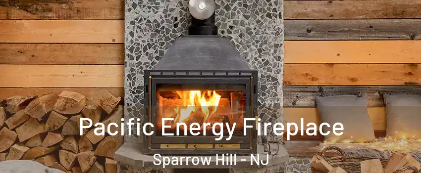 Pacific Energy Fireplace Sparrow Hill - NJ