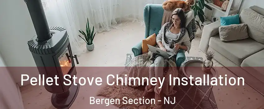 Pellet Stove Chimney Installation Bergen Section - NJ