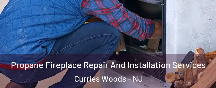Propane Fireplace Repair And Installation Services Curries Woods - NJ