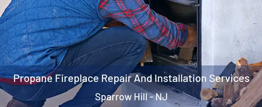 Propane Fireplace Repair And Installation Services Sparrow Hill - NJ