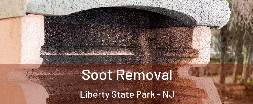 Soot Removal Liberty State Park - NJ