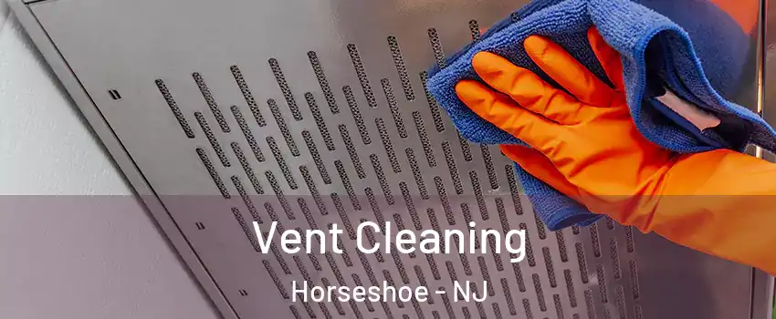 Vent Cleaning Horseshoe - NJ