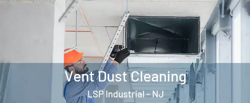 Vent Dust Cleaning LSP Industrial - NJ