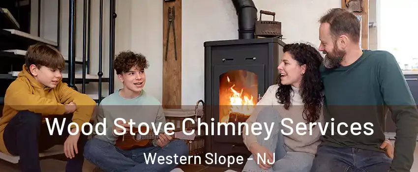 Wood Stove Chimney Services Western Slope - NJ