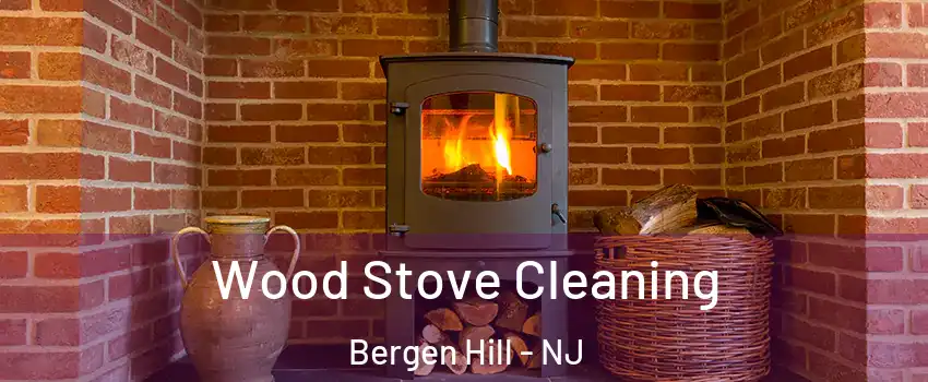 Wood Stove Cleaning Bergen Hill - NJ