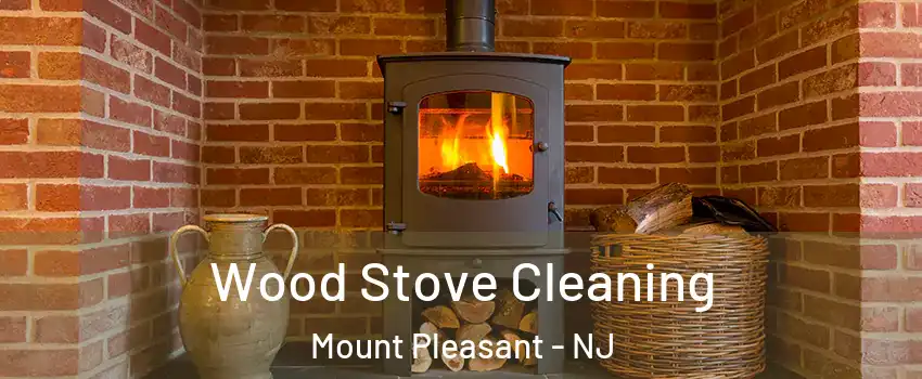 Wood Stove Cleaning Mount Pleasant - NJ