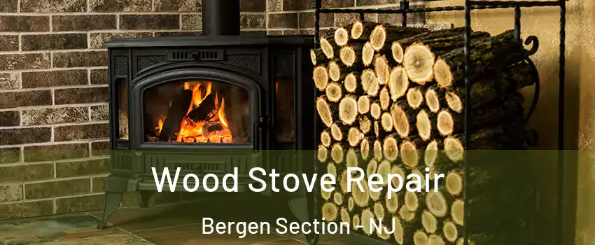 Wood Stove Repair Bergen Section - NJ